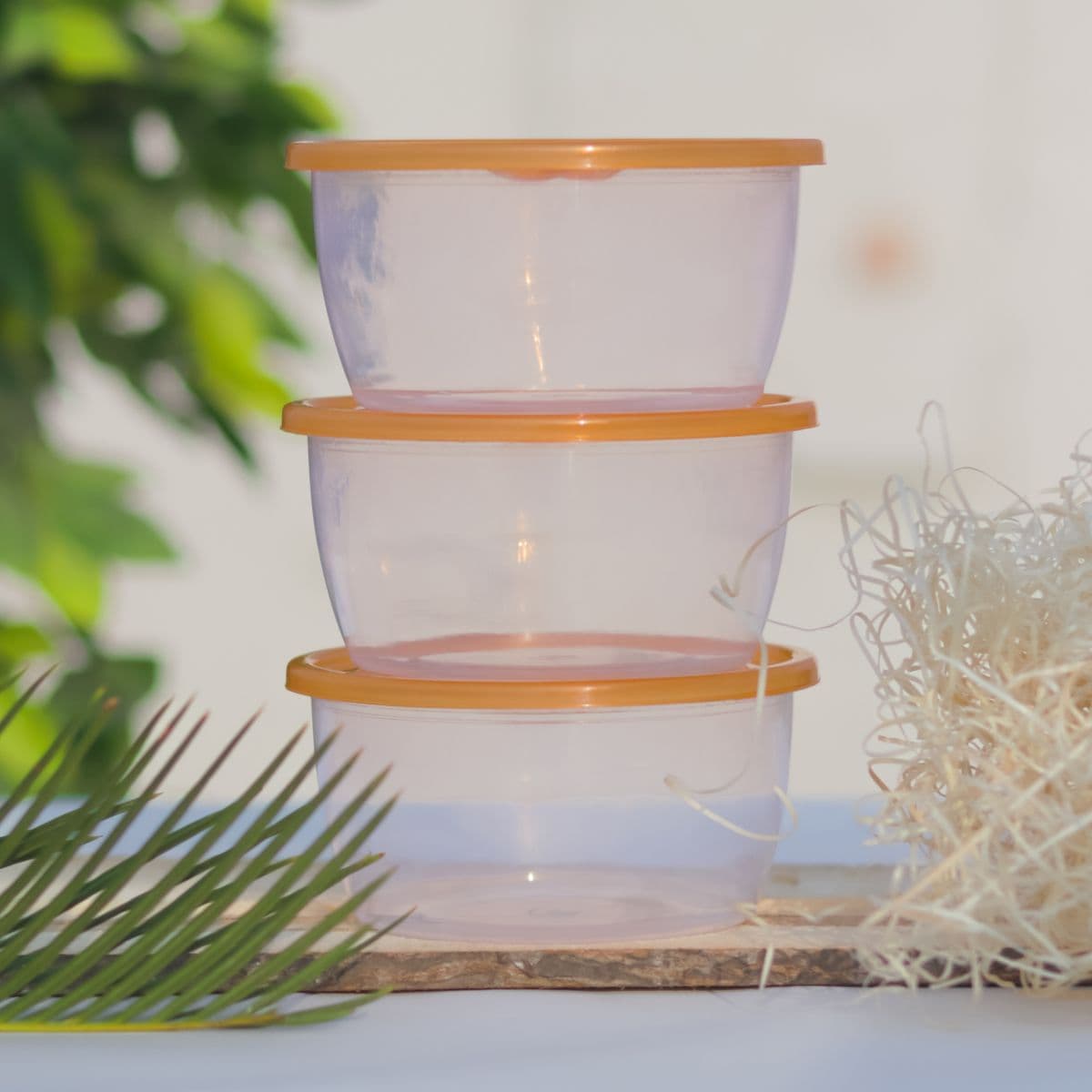 Food Containers